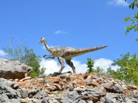 Guía completa de los dinosaurios más listos y famosos: nombres, imágenes y características.