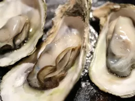 Guía definitiva de precios y consumo de ostras: Todo lo que necesitas saber