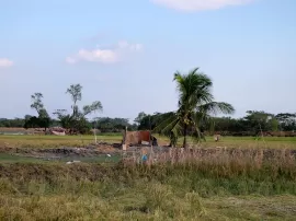 La misión e impacto de BRAC: Liderazgo en desarrollo rural en Bangladesh